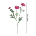 thumbnail image 5 of Artificial Ranunculus Asiaticus 2 Head Realistic Fake Silk Flower with Stem Home Office Wedding Party Faux Flower Decoration, 5 of 8