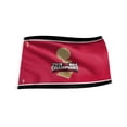 thumbnail image 1 of The Sports Vault 3 X 5 Drapeau NBA CHAMP 2019 Toronto Raptors, 1 of 1