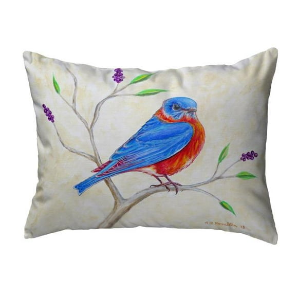 Betsy Drake KS1050 11 x 14 in. Dicks Blue Bird Non-Corded Indoor & Outdoor Pillow