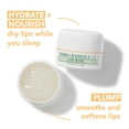 thumbnail image 3 of Mascarilla labial Mario Badescu Tratamiento labial con coco y mango 15 ml, 3 of 9