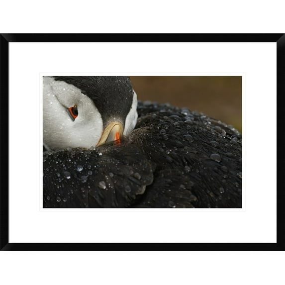 Mario Suarez 'Goretex' Framed Wall Art