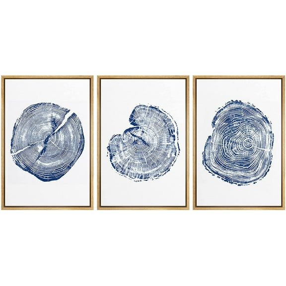 wall26 Framed Wall Art Print Set Blue and White Wood Grain Rings Nature Wilderness Digital Art Modern Art Rustic Scenic Colorful for Living Room, Bedroom, Office - 24"x36"x3 Natural