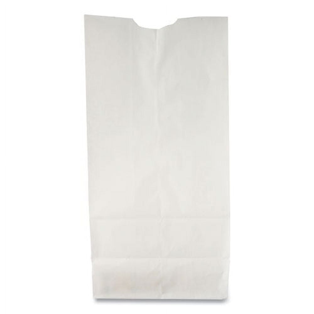 Grocery Paper Bags, 35 lb Capacity, #10, 6.31 x 4.19 x 13.38, White, 500  Bags - Zerbee