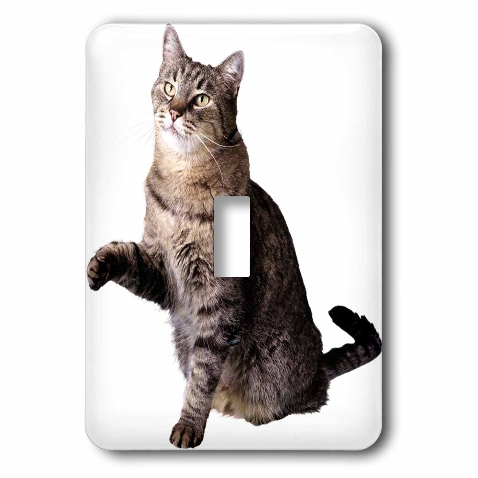 3dRose lsp_41309_2 Kitty Portrait Double Toggle Switch 3dRose lsp_41309_2 Kitty Portrait Double Toggle Switch