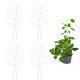 thumbnail image 1 of Marco de soporte de hojas para trepar arte del hierro soporte de flores marco de escalada para plantas al aire libre blanco Material: arte del hierro tamaño: 11x315 cm ANGGREK Otros, 1 of 8