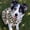 Electric Cheetah, variant on Jeffers Expression Fleece Dog Coat, 18"– Soft Warm Cozy Jacket, Moisture Absorbing Pet Sweater, Reflective Safety Clothes for After Bath, Outdoor Activities, All Year Apparel - Electric Cheetah
