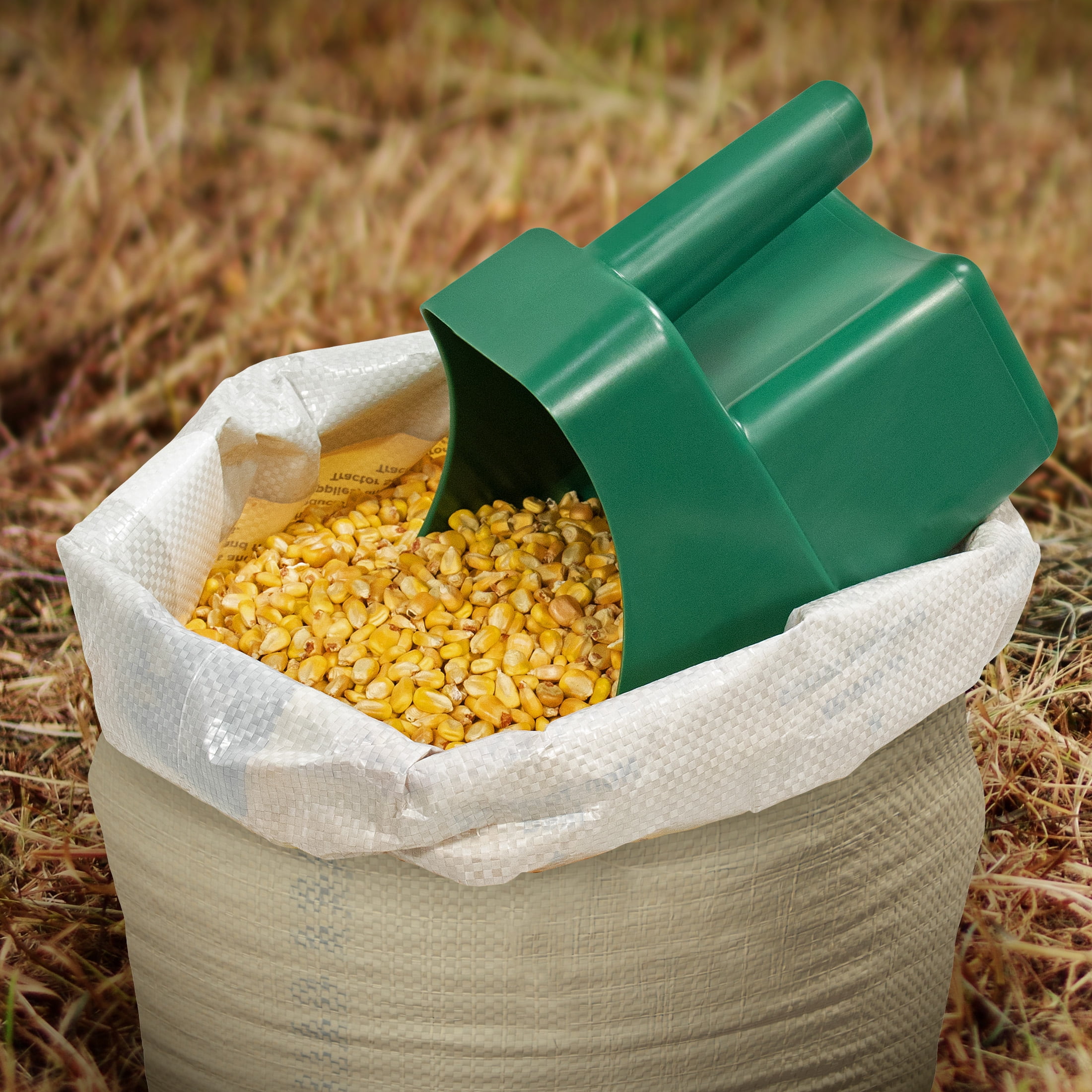Pet Champion 3 quart Green Plastic Feed Scoop