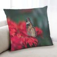 thumbnail image 1 of Ahgly Company Insects Butterfly Coussin Intérieur, 18 Pouces par 18 Pouces, 1 of 6