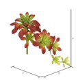 thumbnail image 3 of Vickerman FA170101 Burgundy &amp; Green Atropurpureum Succulent, 3 of 3