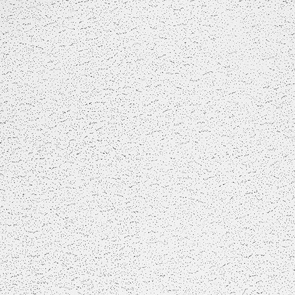 Armstrong 2x4 Textured Acoustic Mineral Fiber Ceiling Tiles for Suspended Ceiling Grids, 10-Tiles per Pack, White