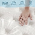 Vantto Queen Mattress, 10 Inch Memory Foam Hybrid Mattress, Individual Pocket Springs Mattress