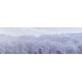 thumbnail image 2 of Frank, Assaf 18x9 White Modern Wood Framed Museum Art Print Titled - Misty forest, 2 of 4