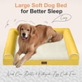 thumbnail image 2 of Cama Ortopédica para Perro Pequeño Lavable: Cama con Respaldo para Perros de Tamaño Pequeño, Espuma de Celda de Huevo, Sofá Impermeable con Funda Removible - Jengibre, 2 of 7