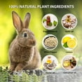 MAGIC CAT Rabbit Repellent Outdoor, 12 Pack Natural Oil Deer and Rabbit