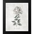 thumbnail image 2 of Carpentieri, Natalie 20x24 Black Modern Framed Museum Art Print Titled - Vintage Botanical II, 2 of 5