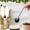 Black, variant on Christmas Spoons Christmas Gift Reindeer Spoon 304 Stainless Steel Coffee Spoon Mixing Spoon Dessert Ice Cream Spoon Cute Antler Design Luxury Mirror Finish Ideal Gift for Family and Friends