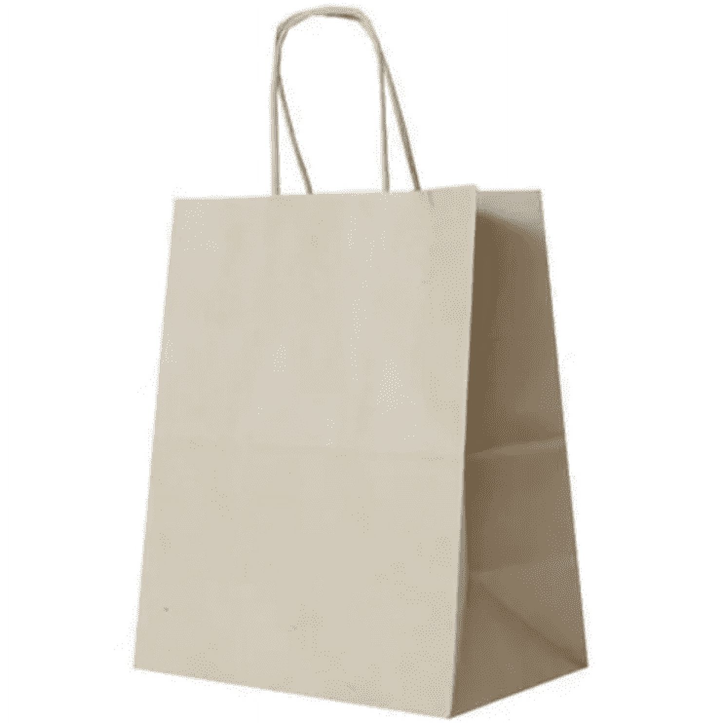 JAM Paper Kraft Brown Gift Bags, 10 x 13.25 x 5, 1/Pack