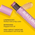 thumbnail image 2 of Set de tinte labial Burt's Bees Shimmer Guava Hidratante, paquete de 4, 2 of 9