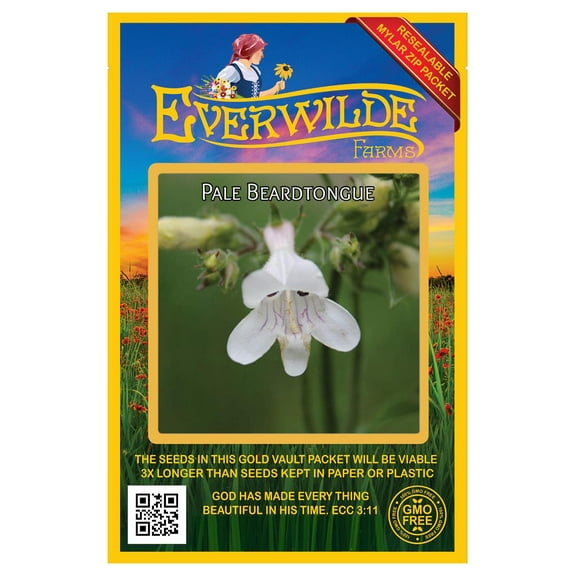 Everwilde Farms - 500 Pale Beardtongue Native Wildflower Seeds - Gold Vault Seed Packet
