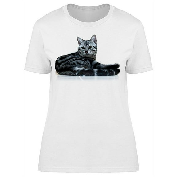 Shorthair Cat, Relaxing T-Shirt Women -Image by Shutterstock, Female x-Large