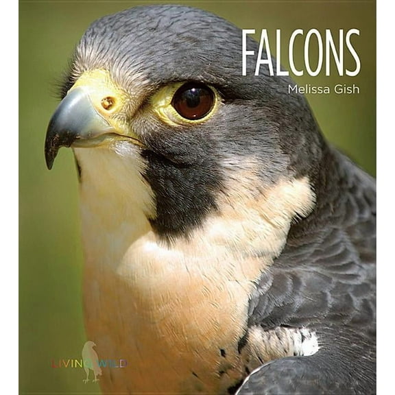 Living Wild: Falcons (Paperback)
