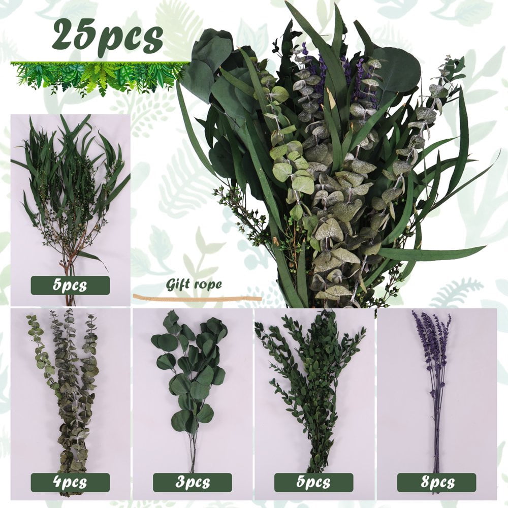 20 Tiges Eucalyptus Séchées Naturelles - 45cm, Décoration Maison