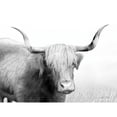 thumbnail image 3 of Deiter, Lori 24x19 Black Modern Framed Museum Art Print Titled - Highland Cow, 3 of 5