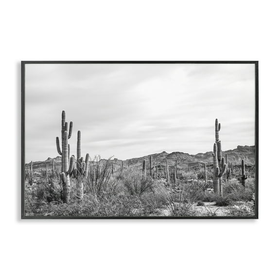 Stupell Industries Sonoran Desert Wonderland Landscape & Nature Photography Black Framed Art Print Wall Art, 18 x 12