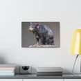 thumbnail image 4 of Tasmanian Devil Hunting Tasmanian Devil on Hunt Print Animal Wall Art Wildlife Canvas Prints Wall Art Ready to Hang Unframed, 4 of 18