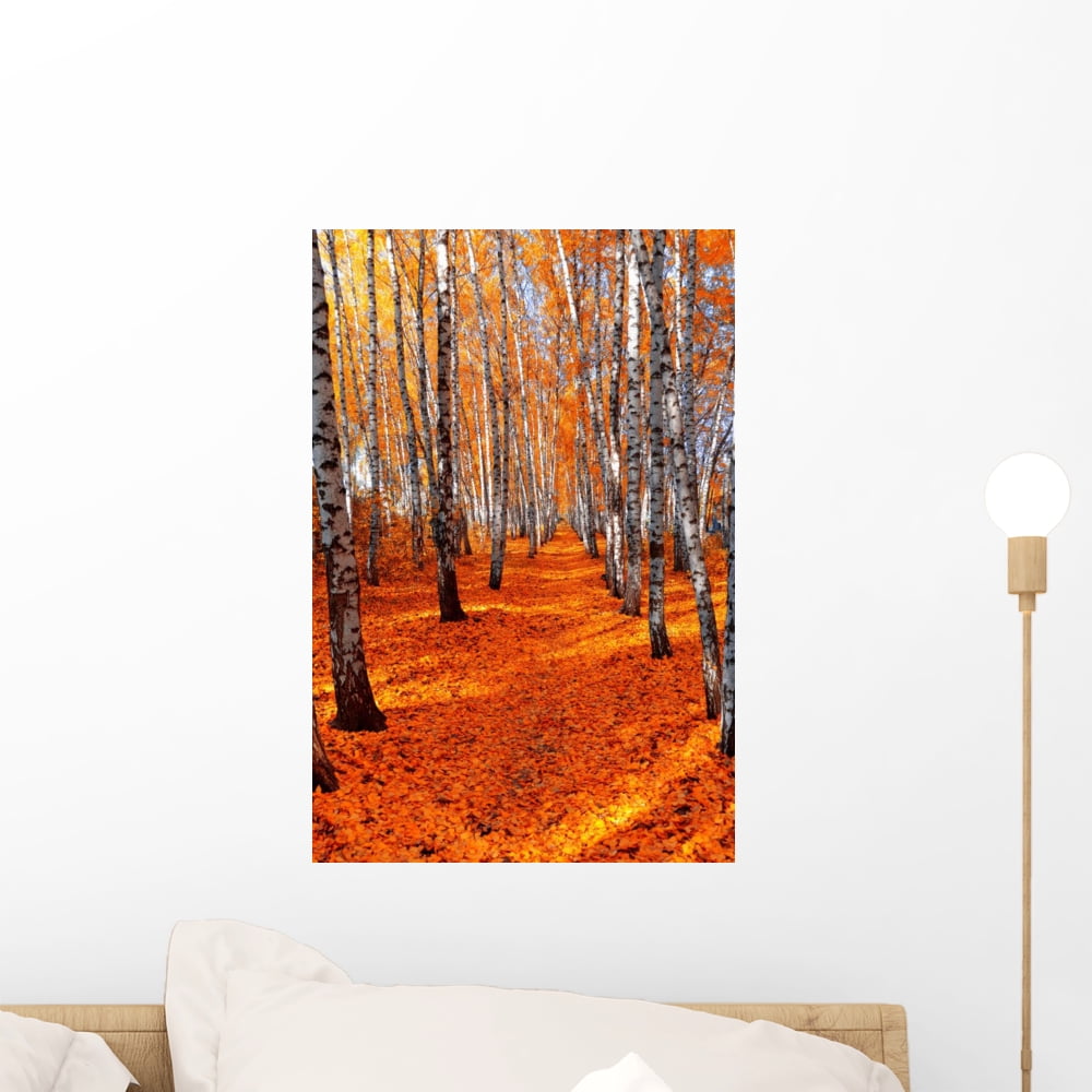 Autumn Birch Wall Mural by Wallmonkeys Peel and Stick Graphic (18 in H