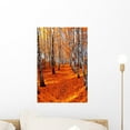 thumbnail image 1 of Autumn Birch Wall Mural by Wallmonkeys Peel and Stick Graphic (18 in H x 12 in W) WM150968, 1 of 4