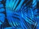 Blue Electric Palm