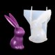thumbnail image 4 of Bunnies Statue Silicones Candle Molds for Epoxy Resins Home Decoration Animal Figurine Silicones Molds Soap Making Molds, 4 of 4