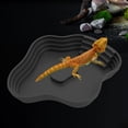 thumbnail image 1 of HLONK All-in-One Reptile Bathing Pool & Feeding Dish with Ramp - Heavy-Duty  Easy-Clean Design  Open-Top Habitat for Tortoises  Lizards  Bearded Dragons  Snakes  Hamsters - Dishwasher Saf, 1 of 4