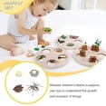 thumbnail image 2 of 1 Set Spade Worm Model Premium Plastic Material Meaningful Insect Figurines Early Educational Growing Models for School Project tarantula, 2 of 6