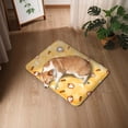 thumbnail image 6 of CozeLy Pet Cooling Mat Printed Water Filled Dog Cooling Mat for Indoor Outdoor Use Comfortable Cooling Pad for Dogs and Cats Summer Relief, 6 of 6