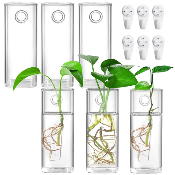 Fasmov Lot de 6 Jardinières Murales en Verre, Supports de Terrarium pour Plantes Aériennes, Succulentes, Fleurs - Carrés, Contenants de Vase Transparents f