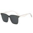 thumbnail image 1 of Gafas de sol polarizadas Gafas de sol de mujer anti-ultravioleta de alto grado Retro One Gafas de sol Gris XianweiShao 9024715049872, 1 of 2