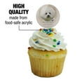 thumbnail image 3 of Bichon Frise Dog Breed Cupcake Picks Toppers Decoration Set of 6, 3 of 7