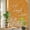 Orange, variant on Sage Green Botanical Window Privacy Film Rainbow Static Cling Stain Glass Window Film for Glass Door, Decorative UV Blocking Sunroof Decal Sticker for Car 17.7"x39.3" Farmhouse Laugh Love Leaves