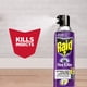 thumbnail image 4 of Spray Flea Killer Raid, 494 g, que mata pulgas, garrapatas y cucarachas, 4 of 8
