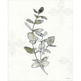 thumbnail image 2 of Great Art Now Fresh Farmhouse III by Anne Tavoletti, Canvas Wall Art, 16W x 20H, 2 of 2