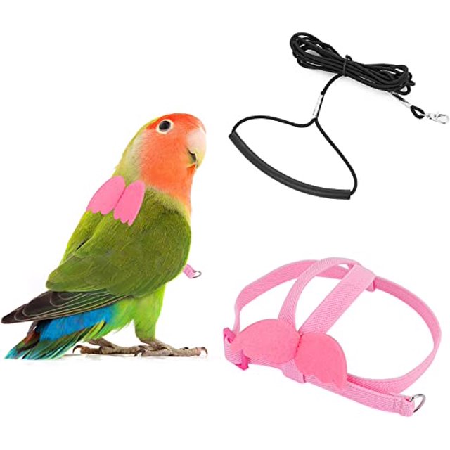 Cuerda de ajuste de entrenamiento de vuelo, cuerda de nailon, arnés para pájaros y arnés para animales, kit de cuerda (rosa peonía (XS) Rojo Verde MX-0128747FYD