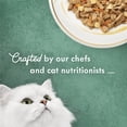 thumbnail image 5 of (12 pack) Purina Fancy Feast Medleys Kitten Food, Wet Cat Food, Beef & Pork with Carrots, 3 oz Cans, 5 of 9