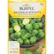 Burpee-Brussels Sprouts, Long Island Seed Packet