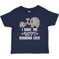 thumbnail image 3 of Inktastic Grandchild Best Grandma Ever Boys or Girls Baby T-Shirt, 3 of 5