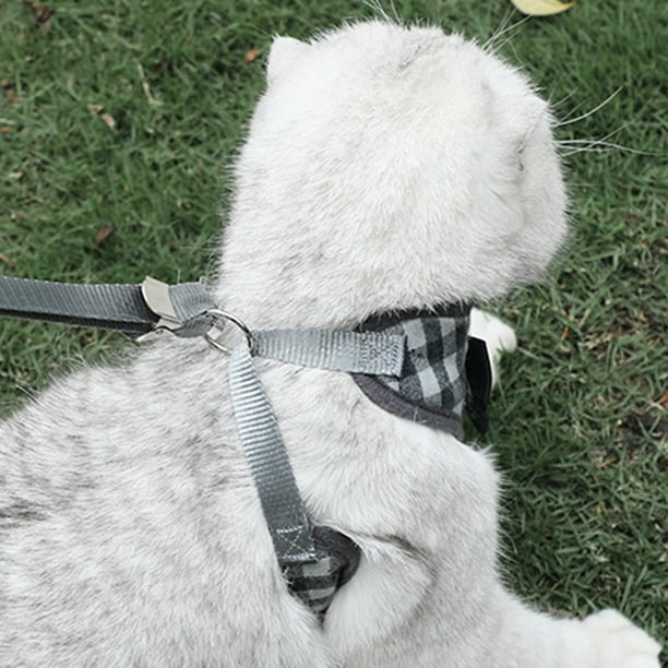 Dog harness with front hook hot sale