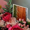 thumbnail image 3 of 3drose, Giant Sequoia Tree Close up in Winter, Sequoia Np, California, 6 Greeting Cards with Envelopes, 3 of 7