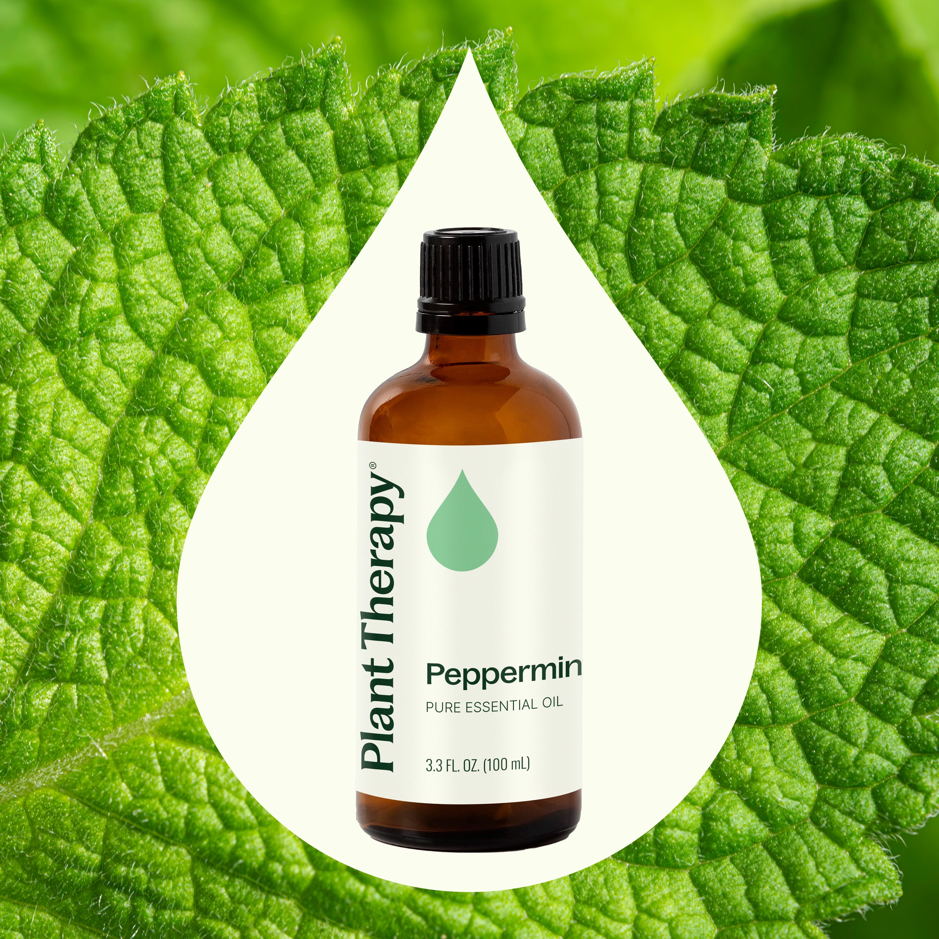 Plant Therapy Peppermint Essential Oil 100% Pure, Undiluted, Natural Aromatherapy 100 mL (3.3  oz)