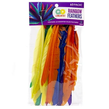 Go Create Rainbow Assorted Color Feathers, 40-Pack Colorful Feathers